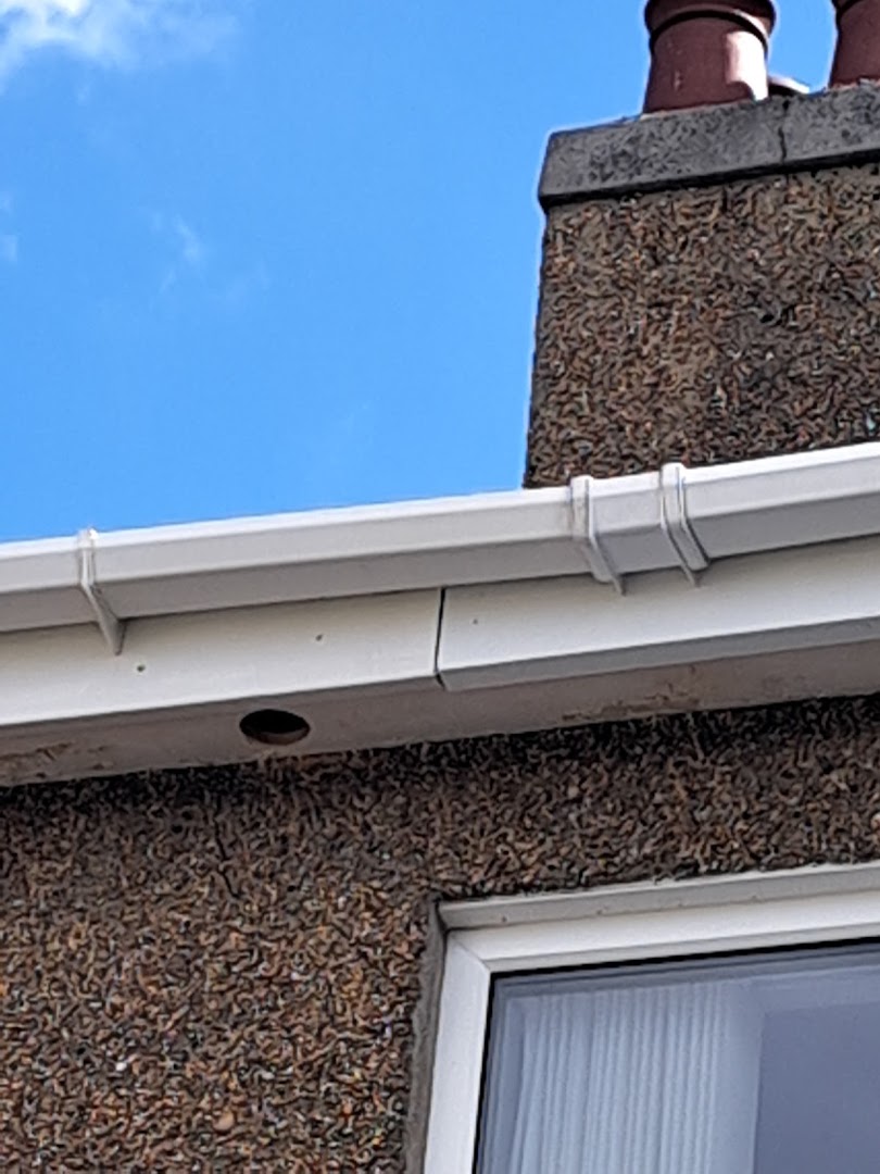 Plymouth Paul the Handyman — Photos 8